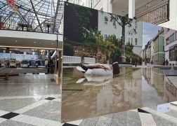 Charity Auktion Zur Fotoausstellung In Der Goethe Galerie In Jena 2026 005